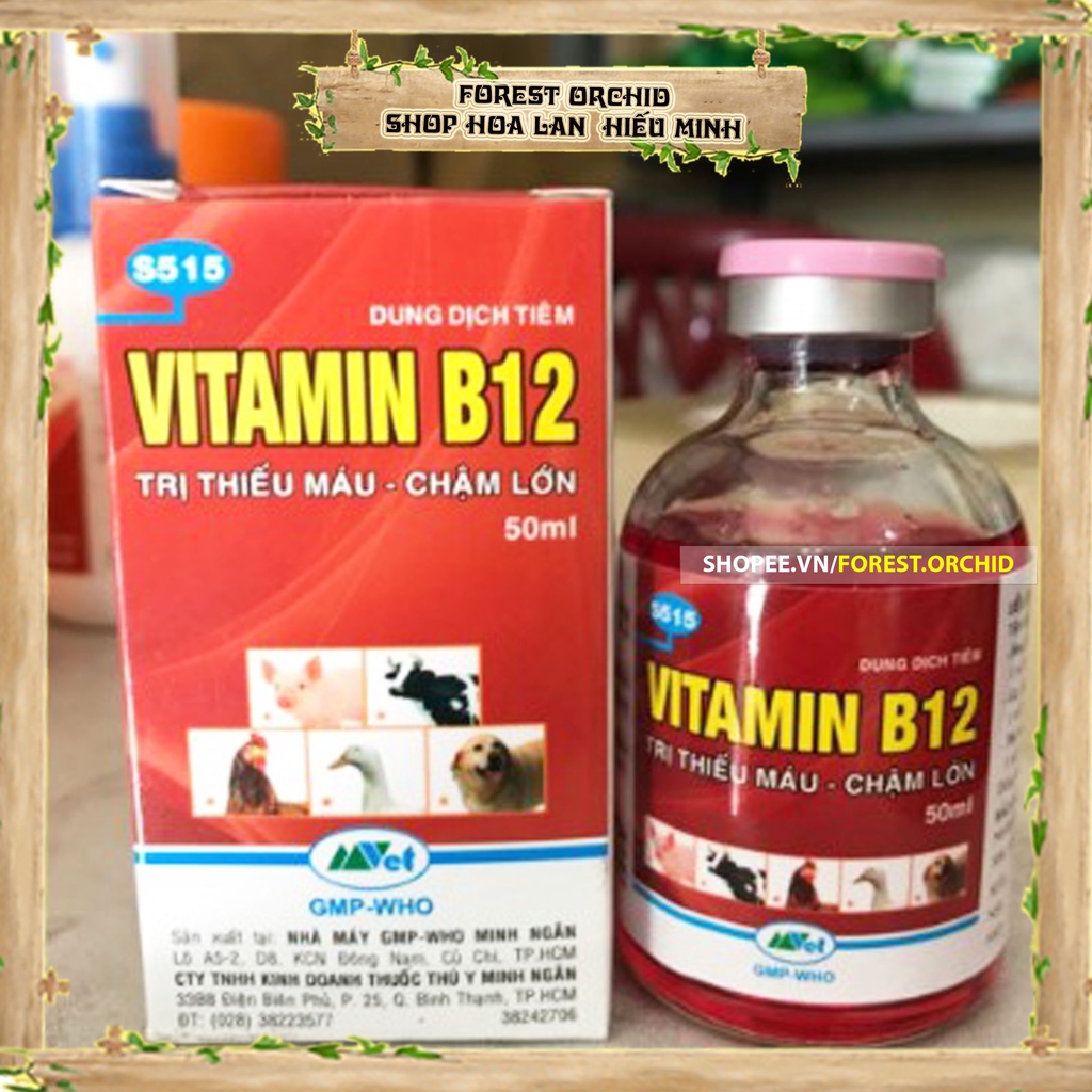 VITAMIN B12 Dung dịch phân bón giải độc, chống sốc phân, tái tạo tế bào cho cây Phong Lan