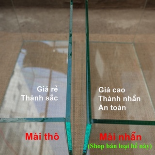 Bể cá mini 24 cm với 5 món (bể 24, sỏi nền, máy lọc, cây nhựa vừa, cây nhựa mini)