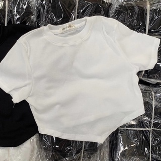 ÁO CROPTOP XẺ V THUN GÂN (ảnh thật)