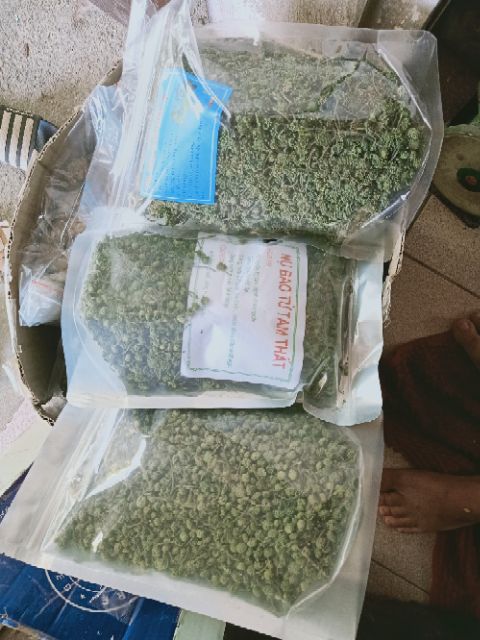 Nụ tam thất khô 100G điều hòa huyểt áp