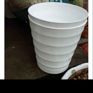 20 cái chậu vòng tròn nhỏ rộng 20cm cao 22cm giá tốt