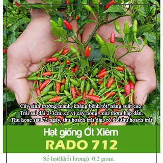 Hạt Giống Ớt Xiêm Cao Sản Siêu Trái, Cây Dễ Trồng, Sinh Trưởng Tốt - Gói 0.2 gr
