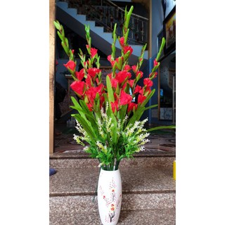 bó 10 cành hoa dơn