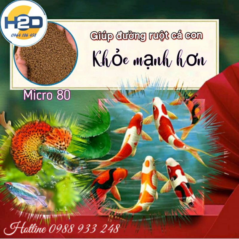 1kg|| Cám Micro 80 cho cá Cảnh, cá 7 màu