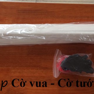 BỘ CỜ VUA GIẢNG DẠY SỐ 2