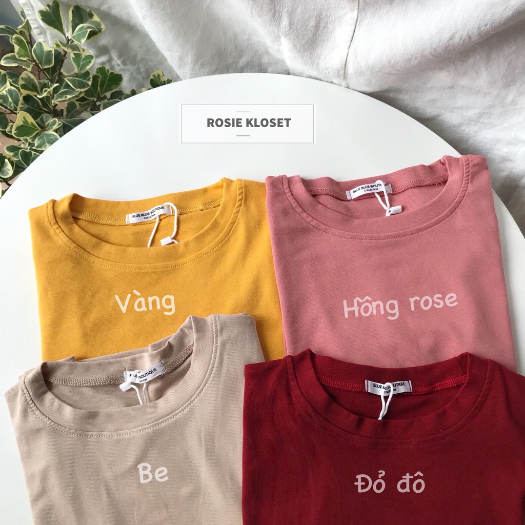 [Rosie.kloset] Áo thun basic dáng ôm 4 màu chất cotton mềm mịn co giãn thấm hút mồ hôi, áo phông nữ dáng ôm  |ẢNH THẬT|