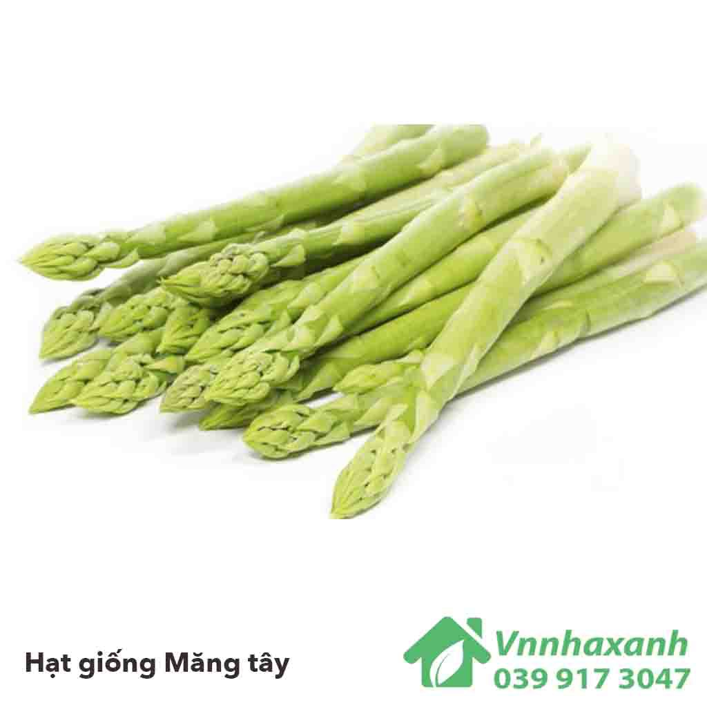 Hạt giống măng tây