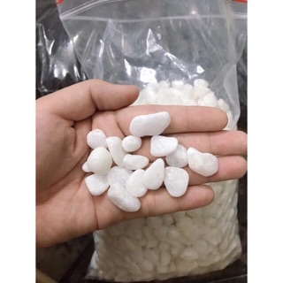1 kg sỏi trắng trang trí chậu cây 2 cỡ