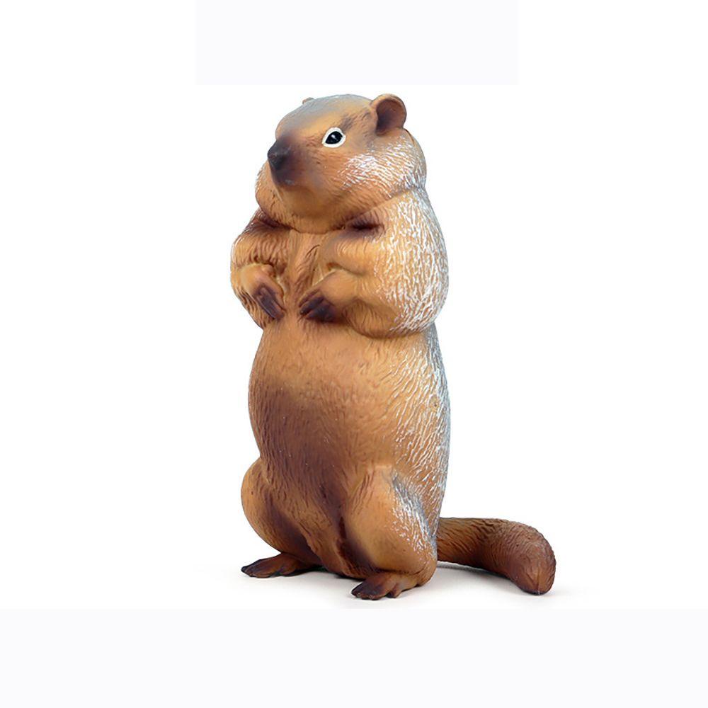 Mô Hình Marmot Sống Động Như Thật Cho Bé