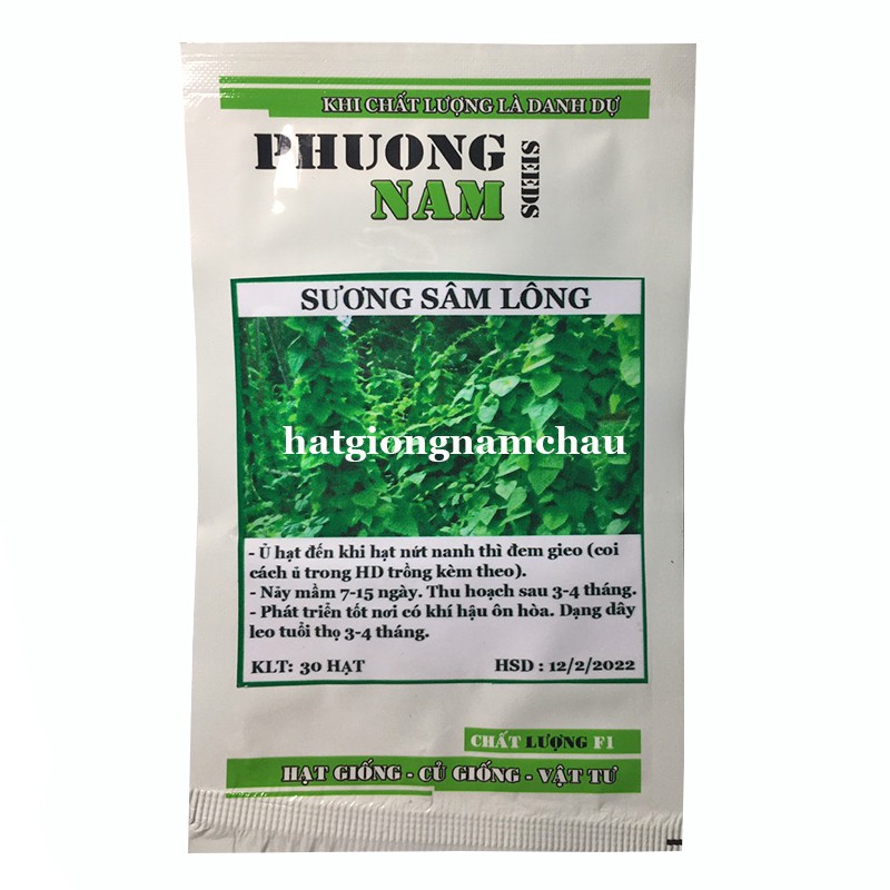 30H - HẠT GIỐNG SƯƠNG SÂM LÔNG