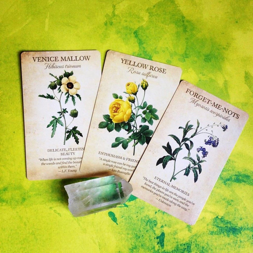 Bài Botanical Inspirations