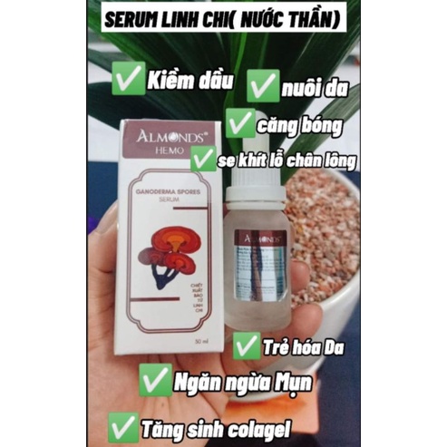 Serum giảm giản mao mạch ALMONDS - Ganoderma Spores serum 65gr