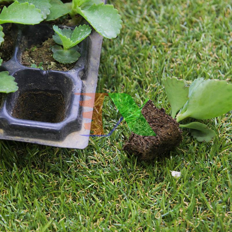 Bộ 10 Khay nhựa ươm cây, Vỉ ươm hạt giống, Khay nhựa PET ươm hạt rau hoa