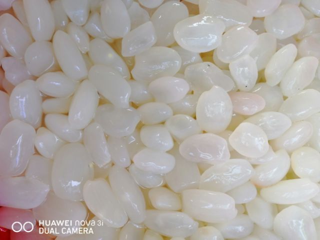 1kg hạt đác size cực to | BigBuy360 - bigbuy360.vn