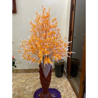 Hoa lụa - cây cảnh