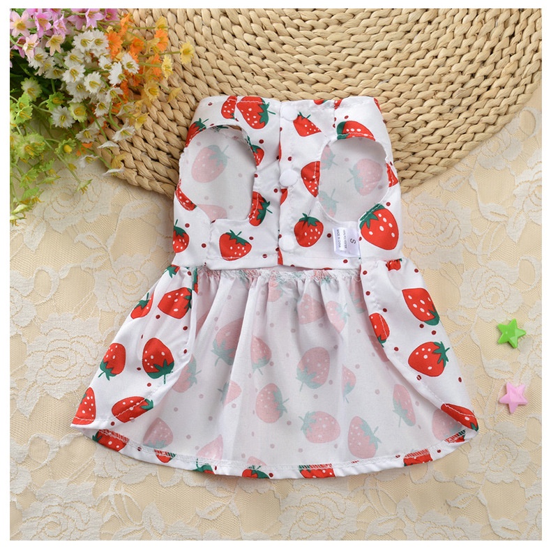 Đầm Công Chúa Họa Tiết Hoa Dễ Thương Thời Trang Mùa Hè Cho Cún Cưng Shih Tzu