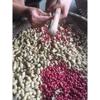 Lạc Rang Húng Lìu Đỏ 500GR