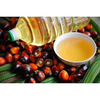 DẦU CỌ (100ML)