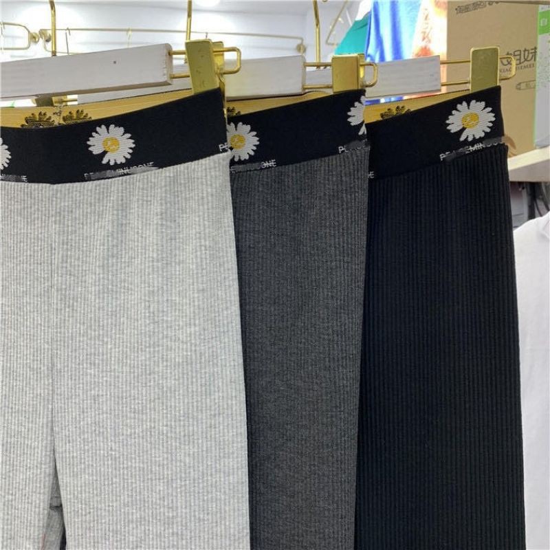 Quần legging len tăm hoa cúc | WebRaoVat - webraovat.net.vn