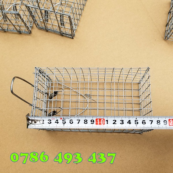 50 Lồng Bẫy Chuột Đồng Đường Mòn không cần sử dụng mồi