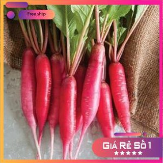 Hạt giống Củ Cải Đỏ Dài (20g)