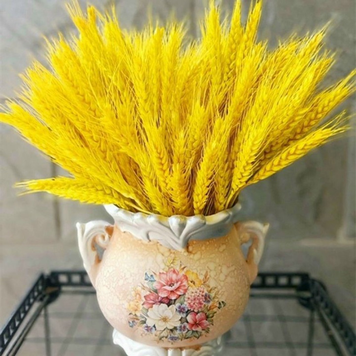 Bó Bông Lúa Mạch Khô Màu Vàng Tài Lộc Trang Trí Nhà Cửa Cho Gia Đình
