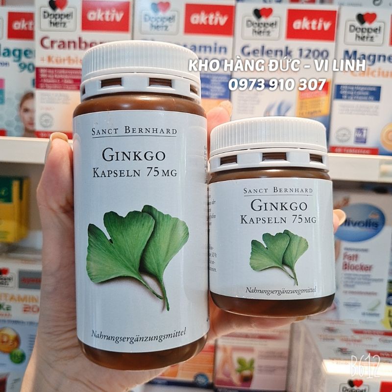 SANCT BERNHARD SANCT BERNHARD GINKGO KAPSELN 75MG - 30, 240VIÊN