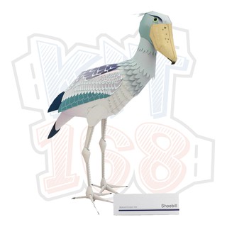 Mô hình giấy động vật chim Cò mỏ giày