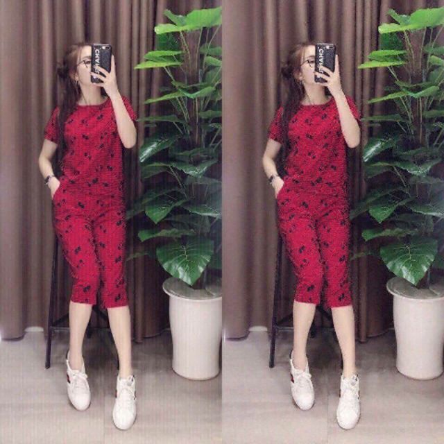 Sat bộ lửng hoa nhí