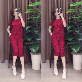 Sat bộ lửng hoa nhí