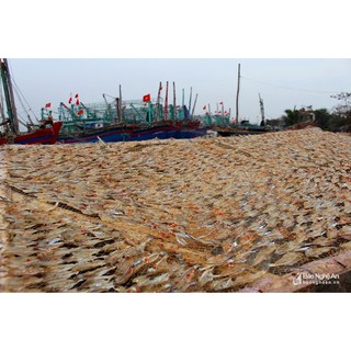 1kg Cá cơm khô mổ đôi cắt đầu