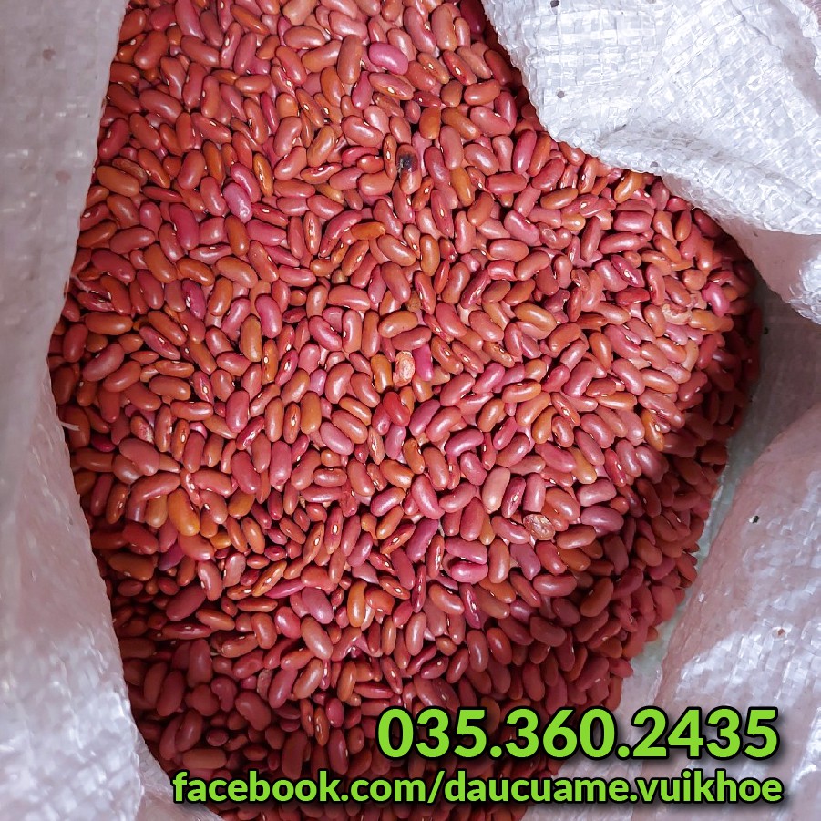 Đậu đỏ hạt to