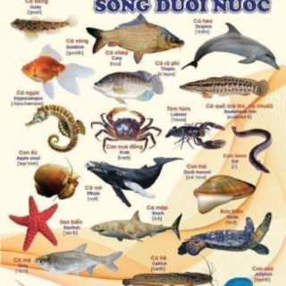 Bộ tranh treo tuong cho bé