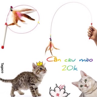 Cần câu mèo