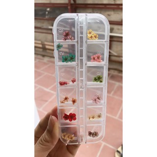 hoa khô, hoa thật ép khô trang trí móng