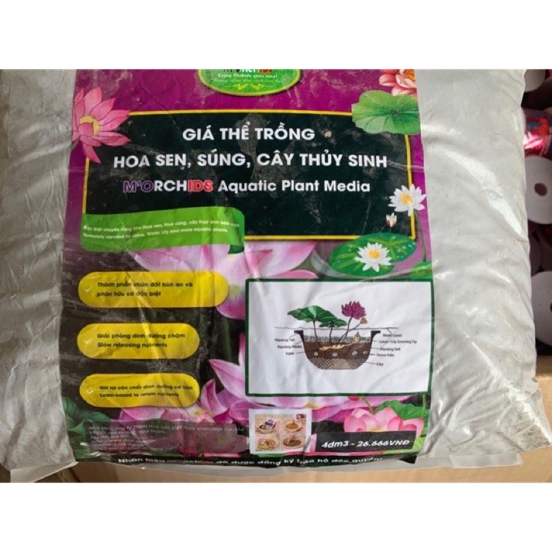 Giá thể trồng hoa sen, súng, cây thuỷ sinh