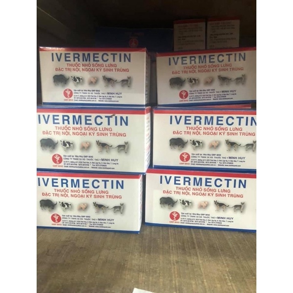Combo 2 lọ Ivermectin MH nhỏ gáy cho chó mèo ngừa chấy rận ve lọ 10ml
