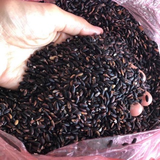 Nếp cẩm điện biên 55k/1 kg