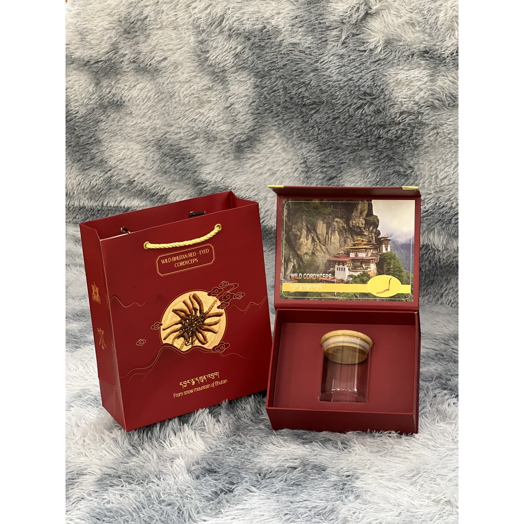 SET TÚI VÀ HỘP ĐỰNG ĐÔNG TRÙNG HẠ THẢO - KHAY ĐƠN