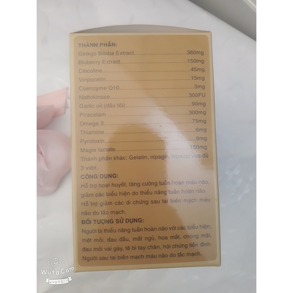 Viên uống bổ não BRAIN FORTE GOLD, giúp tăng cường tuần hoàn máu não, giảm đau đầu, tê bì chân tay, mỏi vai gáy