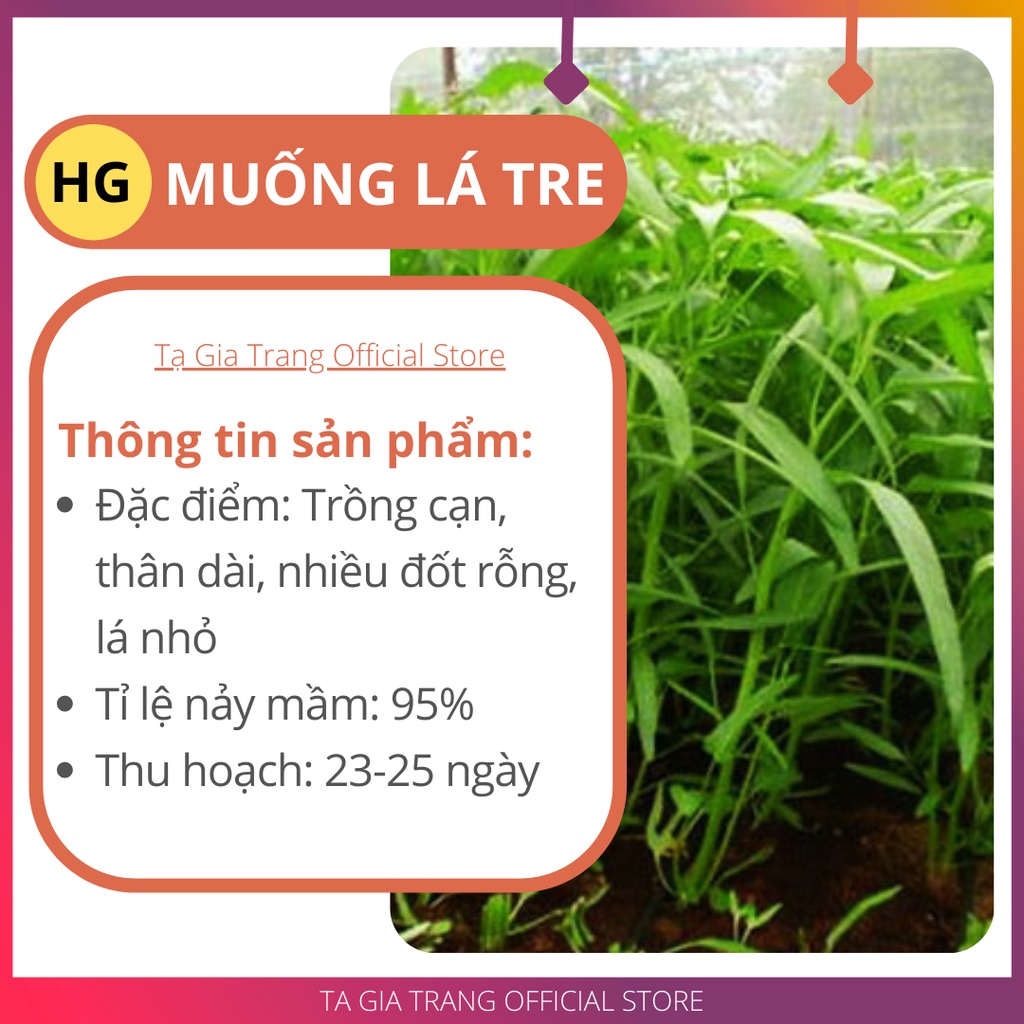 Deal 1K - 80 Hạt giống rau muống lá tre ăn giòn, ngon - Tập làm vườn cùng Tạ Gia Trang