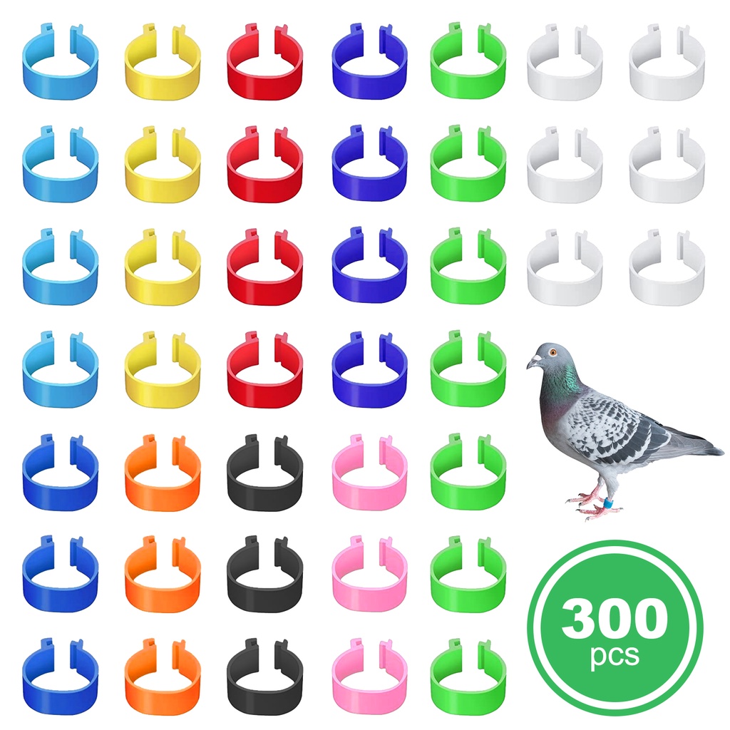 Set 100 vòng nhựa đeo chân cho chim bồ câu tiện dụng
