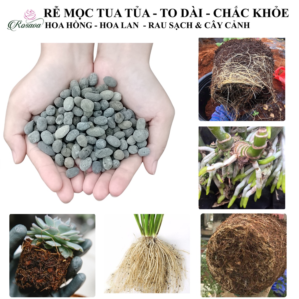 Phân dê hữu cơ vi sinh ROSAVA đã qua xử lý trồng lan, bón hoa hồng, giấy, sen đá, cây cảnh, dâu tây, rau