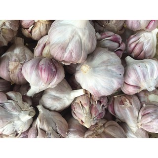 Tỏi hồng bụi Hà Nội củ to thơm vỏ màu tím nhạt đặt trưng gói 500g