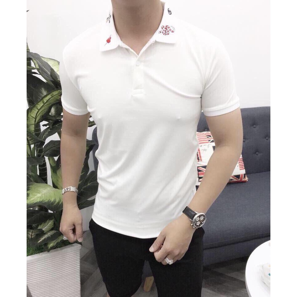 Áo Thun Polo Nam Cổ Trụ ANH DUY SHOP ATCC21