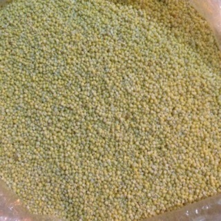 Hạt kê nếp 0.5kg hoặc 1kg