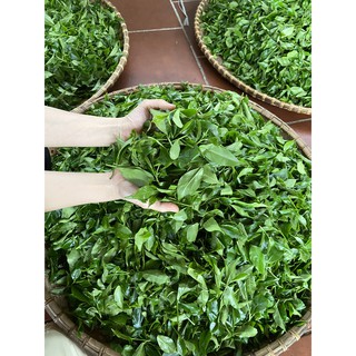 Trà Đinh Nõn Thái Ninh 100G (1 gói 100g)