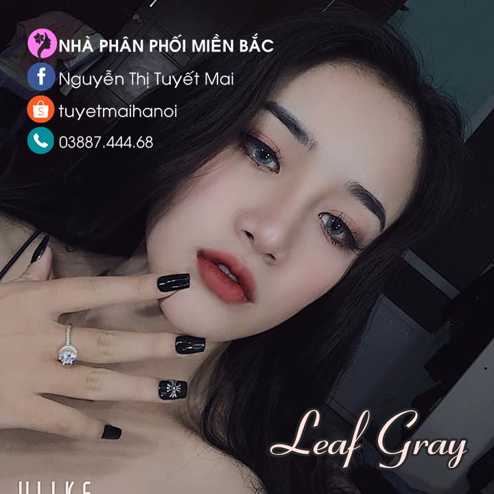 Lens Xám Tây Leaf Gray 14mm 0 Độ - Kính Áp Tròng Hàn Quốc Chính Hãng Vassen Sexy Me