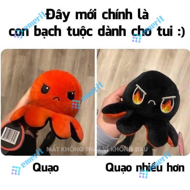 Bạch tuộc cảm xúc Gấu Bông Bạch Tuộc Cảm Xúc có 2 mặt khác nhau, nhiều màu, kích thước 20cm valentin