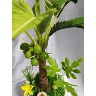 Chậu dừa đất sét cao 35cm